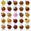 Premium Honig-Weltreise Adventskalender